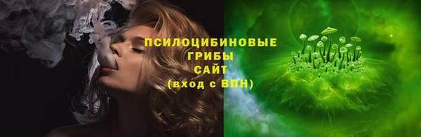тгк Алзамай
