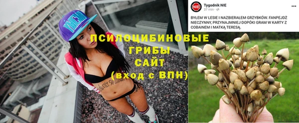 мяу мяу мука Алексеевка