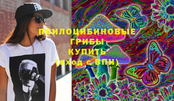 тгк Алзамай